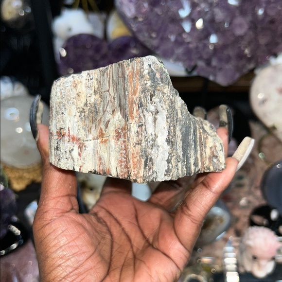 Petrified Wood & Calcite Specimen - Picture 4 of 9